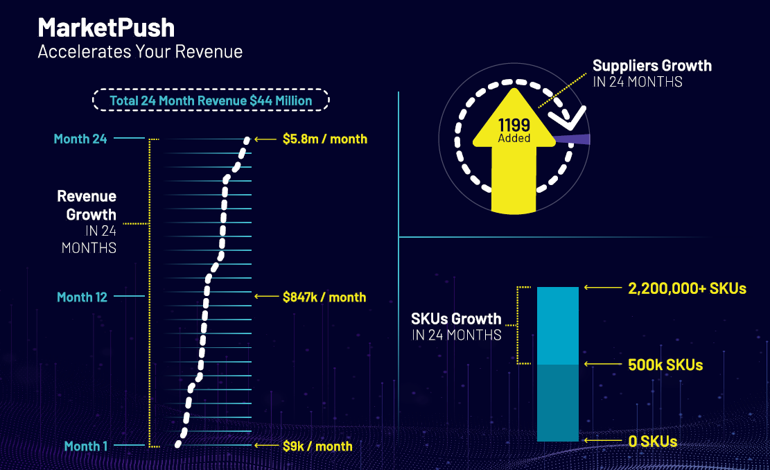 Marketpush Accelerates Your Revenue